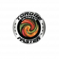 Torque-Master-Motor-Technology